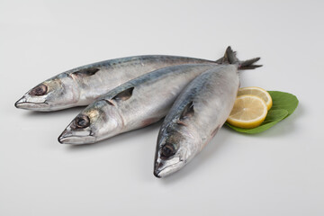 고등어,날것,다듬기,도마,사람없음,생선,소금,실내,어류,오브젝트,음식,음식재료,절임