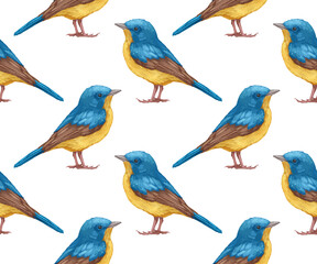 Seamless Pattern with hand-drawn Blue Flycatcher, digitally colored, vector