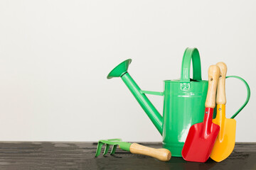 Kids gardening tools on black wooden table