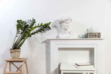 Apollo's plaster head in a white interior. Zamioculcas plant in a clay pot on a stool. Wooden box with glass bottles and a notepad on the table.