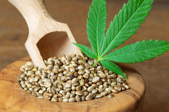 A pile of unshelled hemp seeds with a wooden spoon and a hemp leave.Wooden background