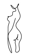 Woman silhouette body as line drawing picture on white. Vector