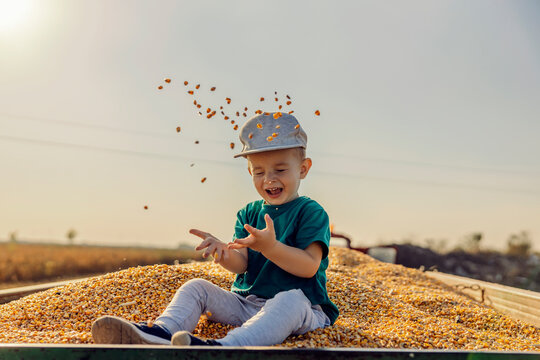 A smiling little boy sits on the corn grains in a tractor-trailer and playing with them during corn harvest. A little farmer is helping with corn harvest