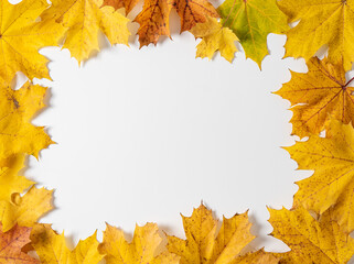 Naklejka na ściany i meble autumn maple leaves arranged in a frame on a white background. Top view and copy space