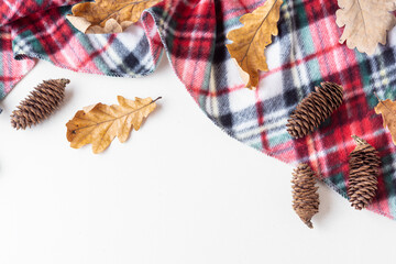 Red plaid, oak leaves and pine cones. Autumn or Christmas frame. Space for text