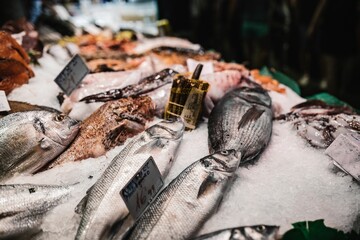 GLUTEN-FREE, RED BEAN BROWNIE WITH PEANUT BUTTER