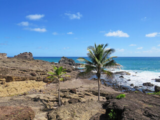 Caribbean coast with turquoise waters under tropical blue sky. West Indies. French West Indies...