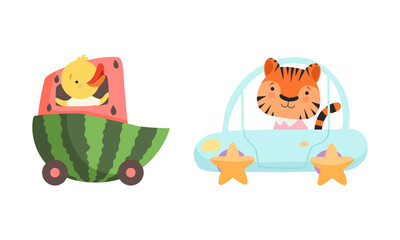 Cute Duck Riding with Watermelon Carriage and Tiger on Motor Car Vector Set