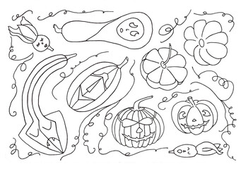 Halloween pumpkin doodle line autumn october illustration isolated white.