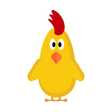 Cute yellow chicken on a white background for use in clipart