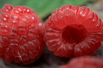 raspberries on a white background