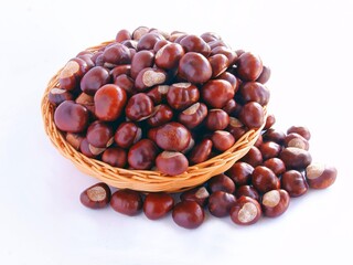 brown seeds of chestnut tree in basket close up