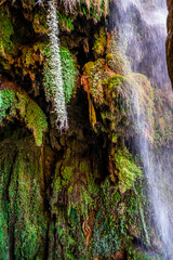 The Monasterio de Piedra park in Nuevalos, Spain, in a hundred-year-old forest full of magical waterfalls