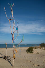 Albero e plastica. © AP