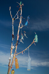 Albero e plastica. © AP