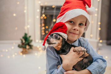 a little boy in a New Year's hat holds a dog with a dwarf pinscher