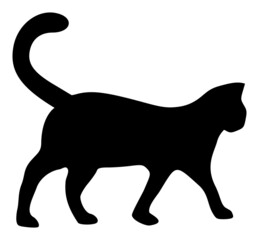 Cat vector illustration. A flat illustration design used for cat icon, on a white background.