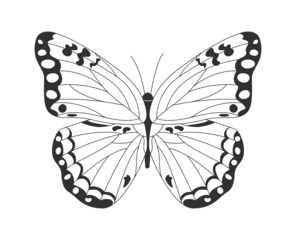 Icon with insect. Butterfly with long wings with patterns in form of thin line and spot. Template for sticker, poster and social network. Cartoon flat vector illustration isolated on white background