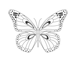 Butterfly silhouette concept. Beautiful insect pattern with unusual wings. Design element for corporate identity, logos and posters. Cartoon flat vector illustration isolated on white background