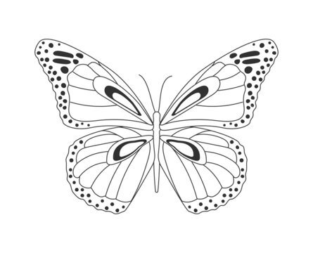 Butterfly silhouette concept. Beautiful insect pattern with unusual wings. Design element for corporate identity, logos and posters. Cartoon flat vector illustration isolated on white background