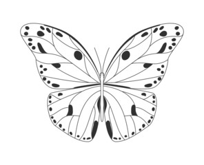 Beautiful butterfly for printing on fabric. Insect with patterned wings. Design element for decorating clothes and walls in children room. Cartoon flat vector illustration isolated on white background