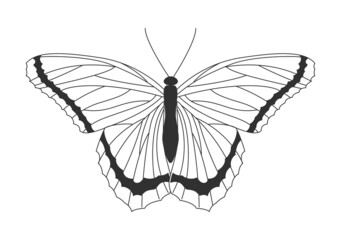Moth with curved wings. Simple butterfly silhouette with lines and dark stripes. Minimalistic template for stickers and social networks. Cartoon flat vector illustration isolated on white background