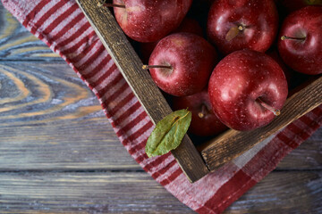 Natural organic red apples on wooden background