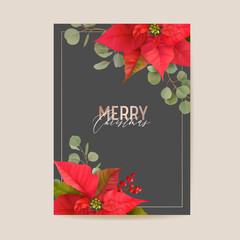 Realistic Poinsettia 3d Flowers Winter Card, Merry Christmas Vector Greetings. New Year Holiday Party Invitation