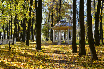 Autumn. Sunny joyful day! The path in the park runs past the gazebo. The path, the ground and the...