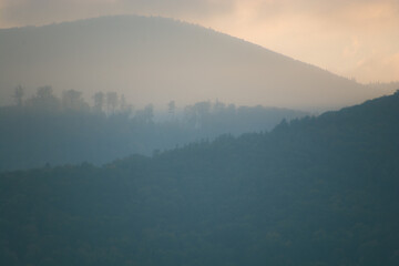 góry porośnięte lasem we mgle