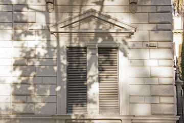 The shadow of the tree is reflected on the facade. Classic window of the elegant building.