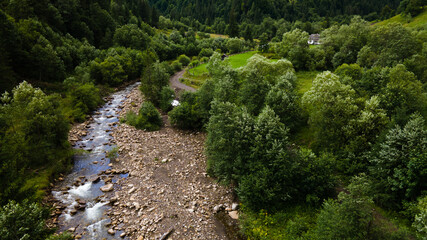 River in the mountains. Coniferous forest. Ukrainian Carpathian mountains.