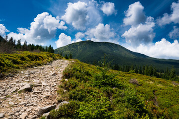 Majestic view on beautiful fog mountains in mist landscape. Dramatic unusual scene. Travel background. Exploring beauty world. Carpathian mountains. Ukraine. Europe.