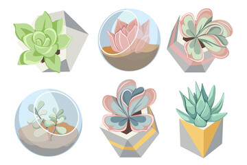 Set of Glass and Concrete Florarium Vases with Succulent Plants, Small Home Gardens, Indoor Diy Containers for Flowers