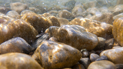 Pebbles stone underwater below water surface near lake shore, natural scene