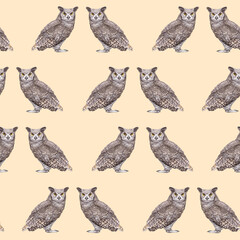 Seamless Pattern with hand-drawn Owl, digitally colored