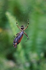 Processed with VSCO with hb2 preset