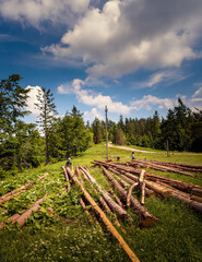 Beskid Sadecki, Beskids, Beskidy summer view of a male and female sitting a wooden chopped cut trees on red trail to the Hala Labowska in Beskids mountains in Poland