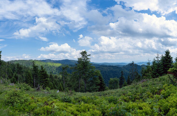 Panorama of polish mountains surrounded with greenery and clouds from PTTK located in Beskid Sądecki in the Radziejowa Range near Prehyba or Przehyba located in Poland, Europe.