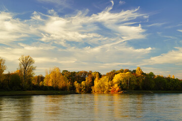 A beautiful autumn evening at river Rhine. Bright colorful trees on the other side of the river....