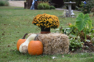 Autumn Lawn Decoration