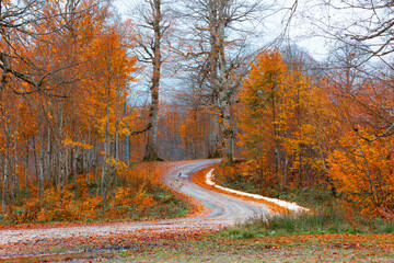 Fototapeta premium Autumn and winter colors in mountains and forest