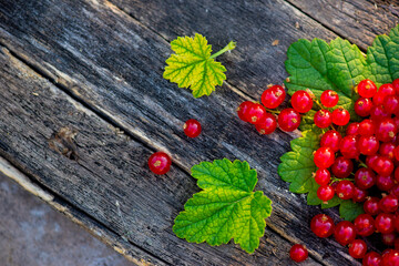 useful berries on a dark background. High quality photo