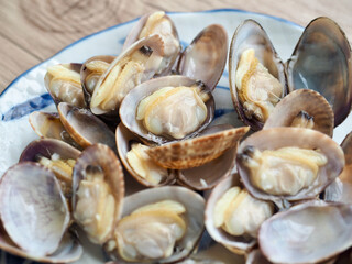 신선한 음식재료 바지락, 조개류 