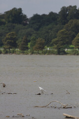 White rock lake, Dallas, Texas.