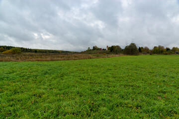 Fototapeta premium Autumn in the village. Grassy meadows and forest on the horizon