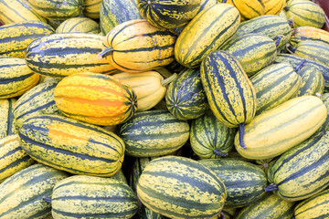 Thanksgiving Winter Squash Food