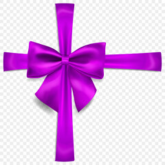 Beautiful purple bow with crosswise ribbons with shadow, isolated on transparent background. Transparency only in vector format