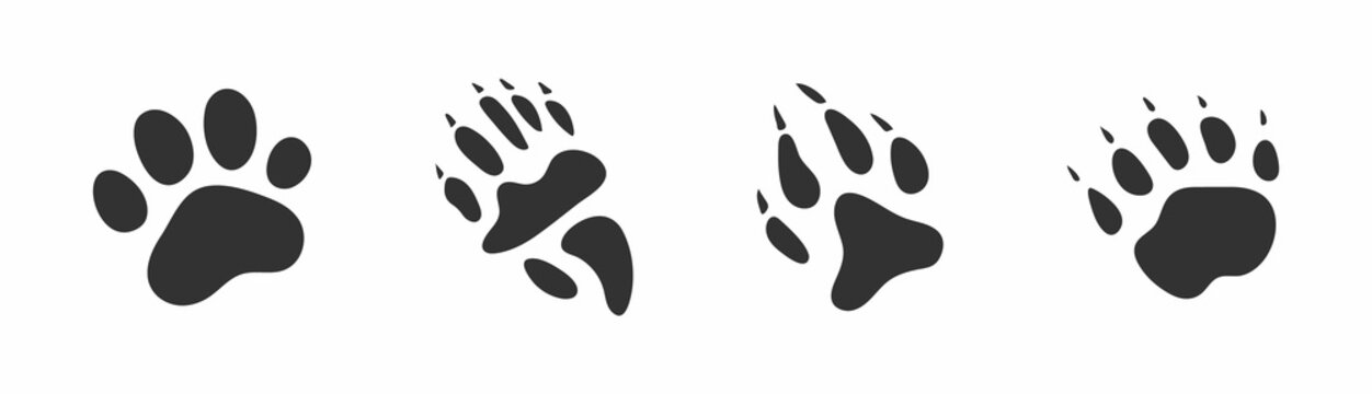 Animals footprints, paw prints. Set of different animals and birds footprints and traces. Cat, lion, tiger, bear, dog, coati.