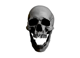 Fototapeta premium Human skull full face on White Isolated Background. The concept art of death, horror. Design for print, poster. A symbol of spooky Halloween, Virus, immortal, pirat. 3d rendering illustration.